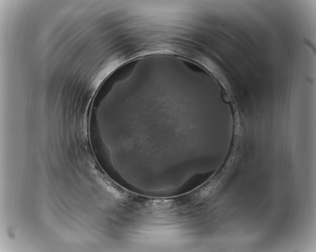 X0000100400858200806131012