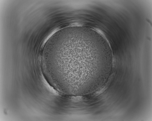 X0000100400859200806131012