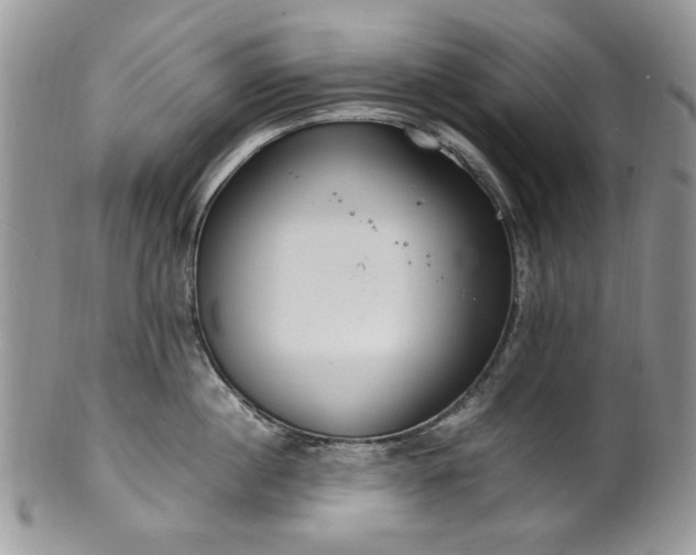 X0000100400860200806131012