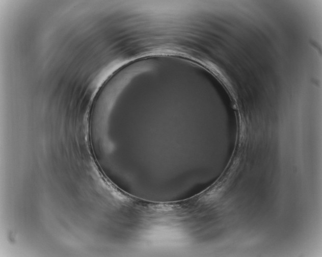 X0000100400862200806131012