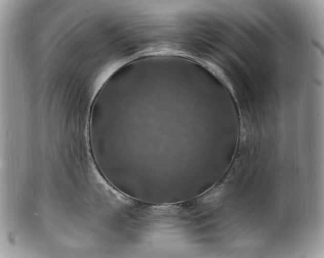 X0000100400863200806131012