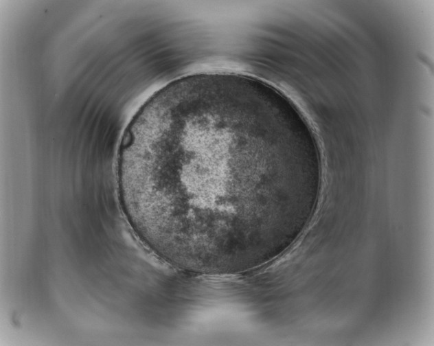 X0000100400864200806131012