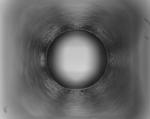 X0000100400866200806131011