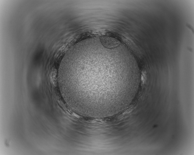 X0000100400867200806131011