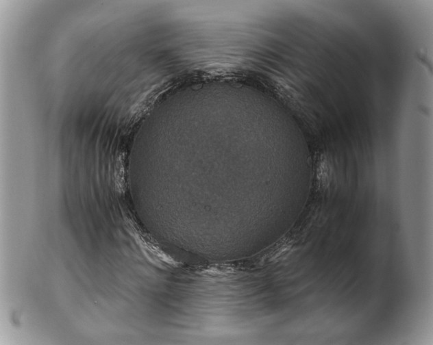 X0000100400868200806131011