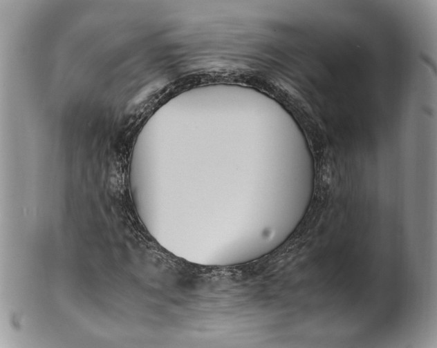 X0000100400869200806131011