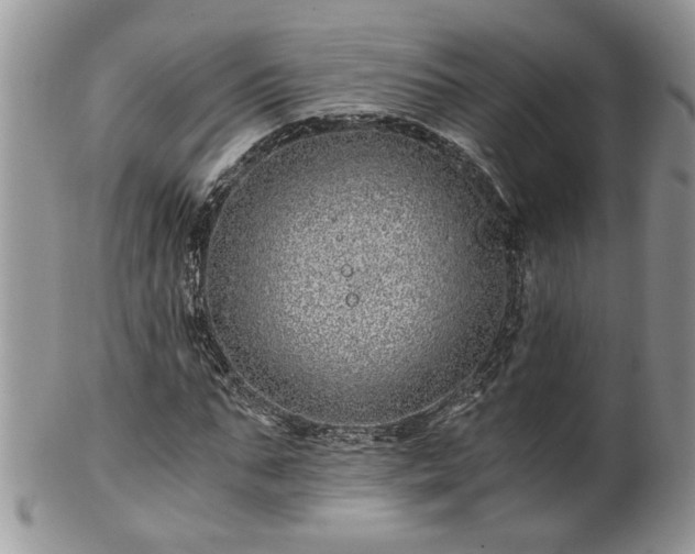 X0000100400871200806131011