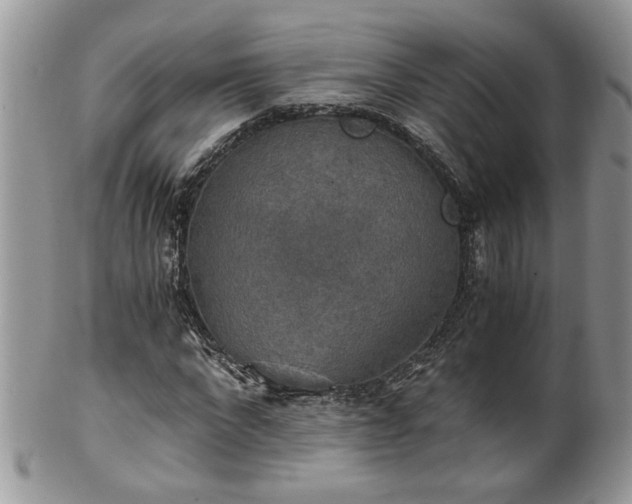 X0000100400872200806131011