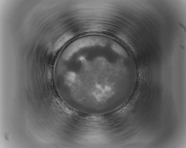 X0000100400874200806131011