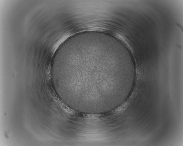 X0000100400875200806131011