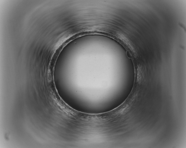 X0000100400876200806131011