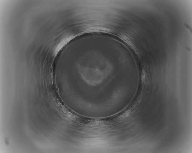 X0000100400877200806131011