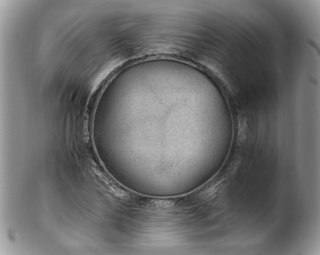 X0000100400878200806131011
