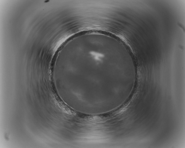 X0000100400879200806131011