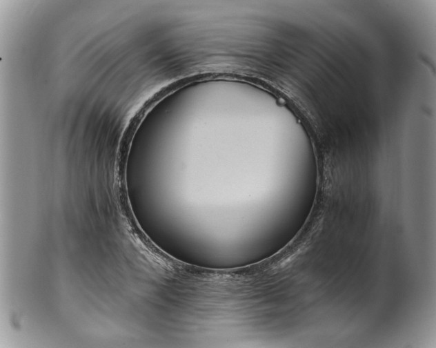 X0000100400880200806131011