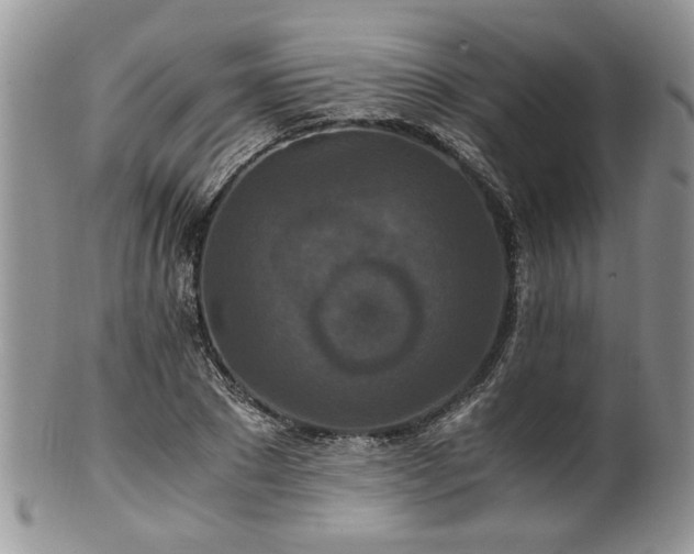 X0000100400881200806131011