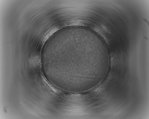 X0000100400882200806131011