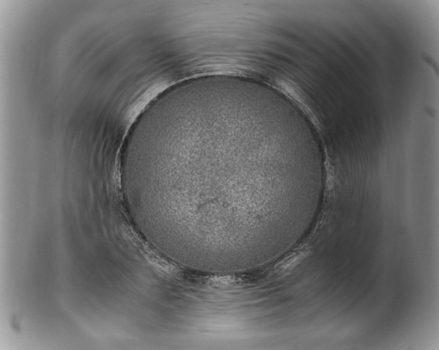 X0000100400883200806131011