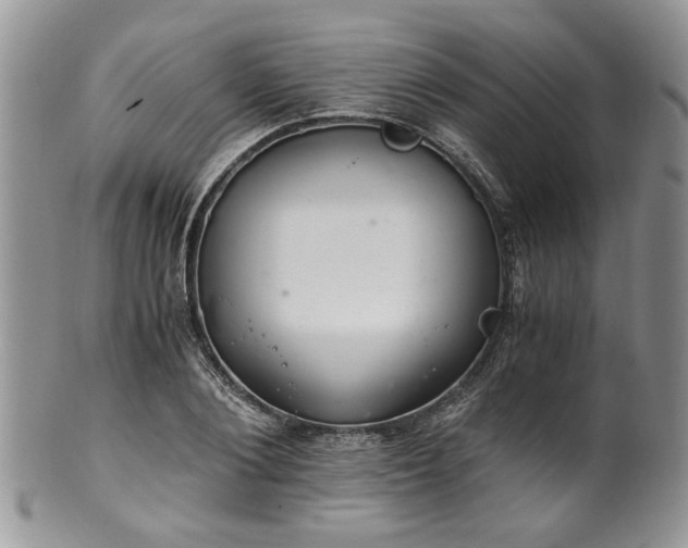 X0000100400884200806131011