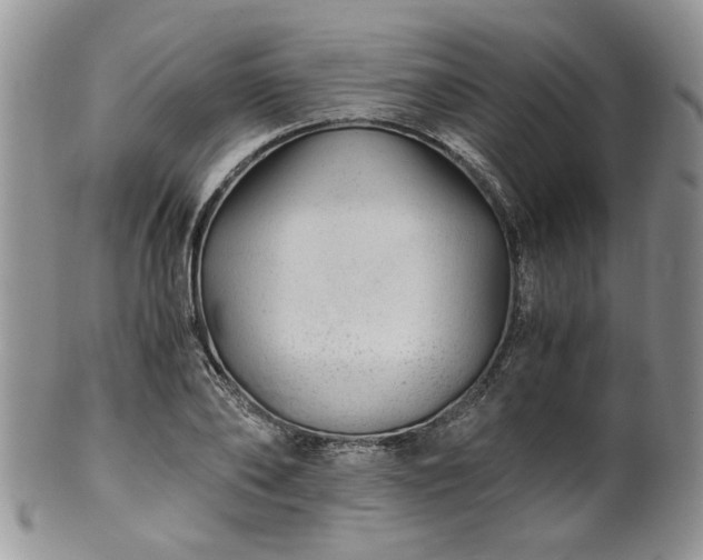 X0000100400886200806131011