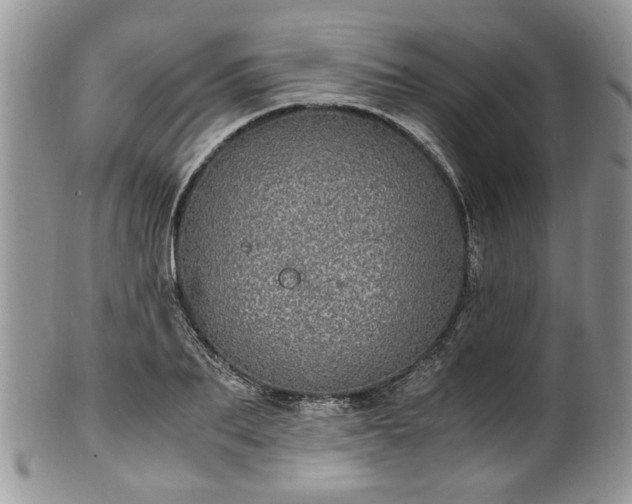 X0000100400887200806131011