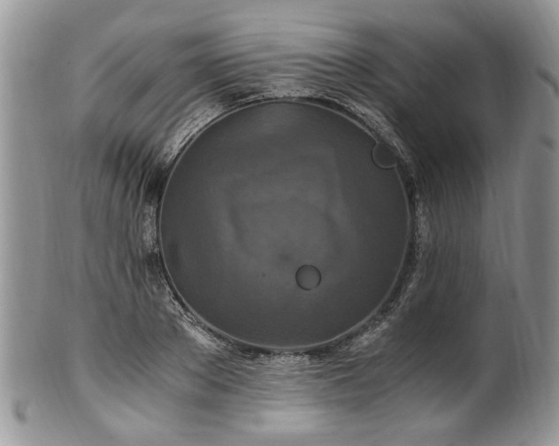 X0000100400889200806131011