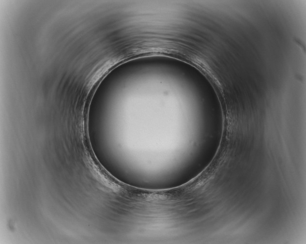 X0000100400890200806131011