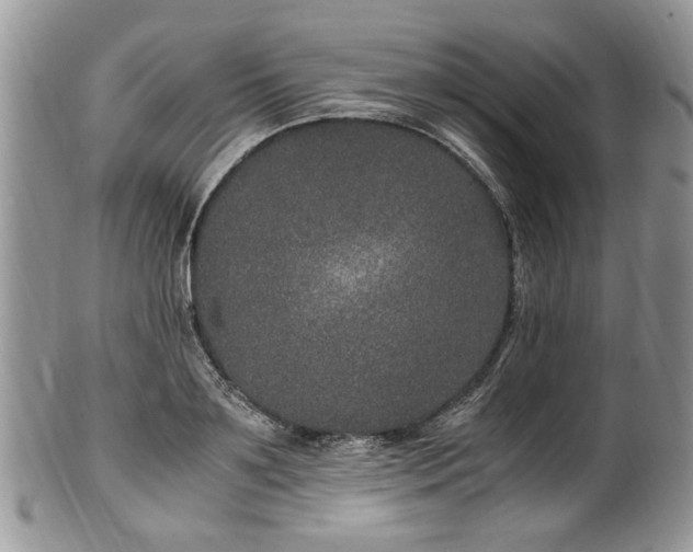 X0000100400891200806131011