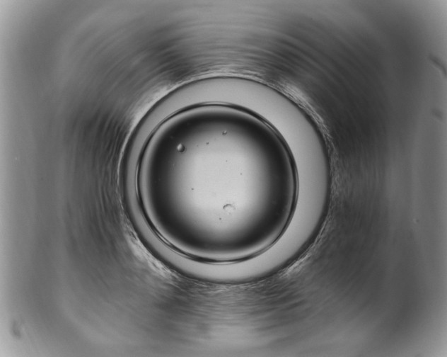 X0000100400892200806131011
