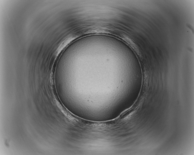 X0000100400893200806131011