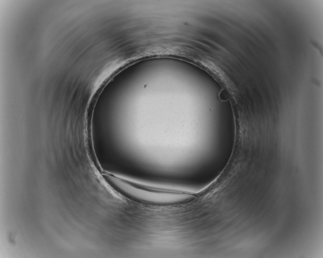 X0000100400894200806131011