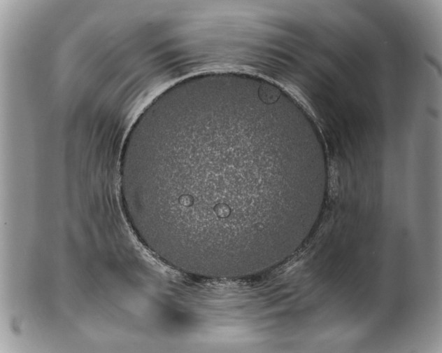 X0000100400895200806131011