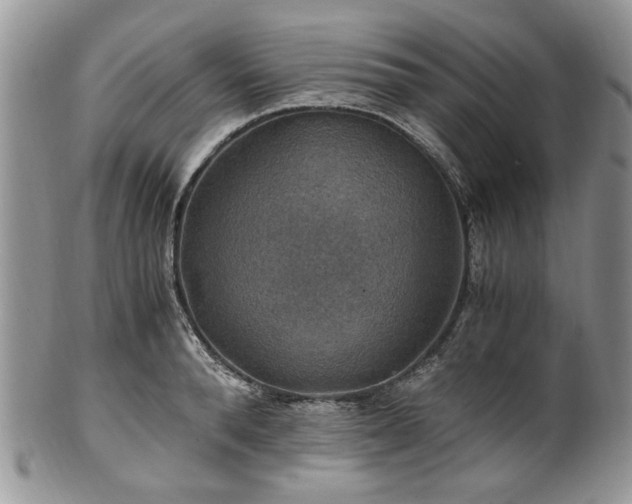 X0000100400896200806131011