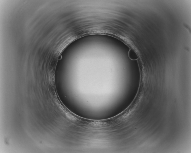 X0000100400897200806131011