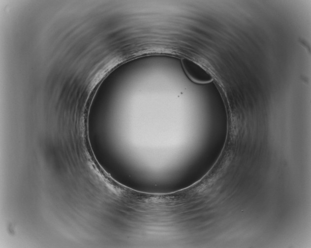 X0000100400898200806131011
