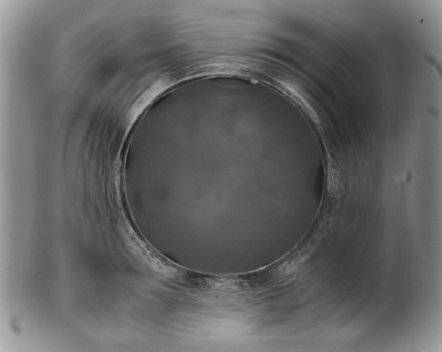 X0000100400899200806131011