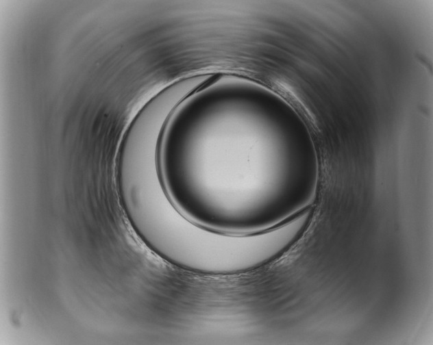 X0000100400900200806131011
