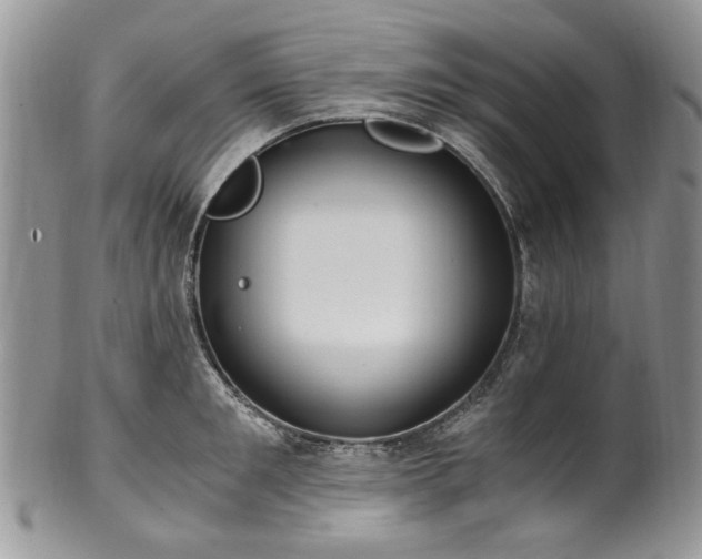 X0000100400901200806131011