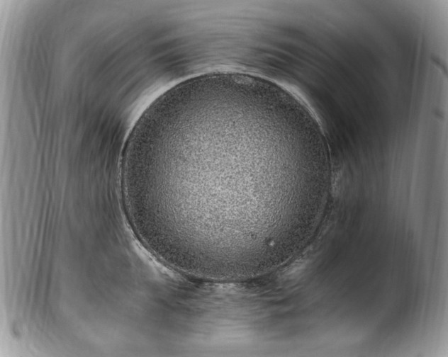 X0000100400903200806131011