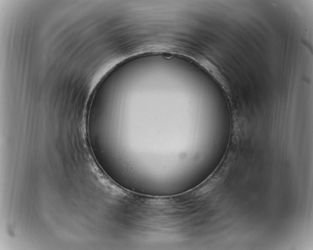 X0000100400904200806131011