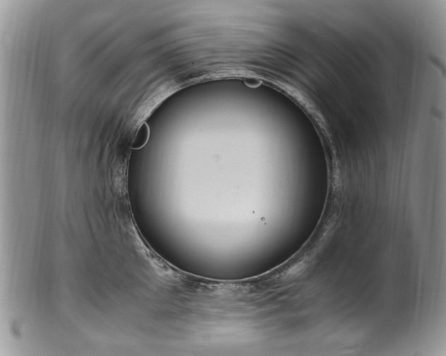 X0000100400905200806131011