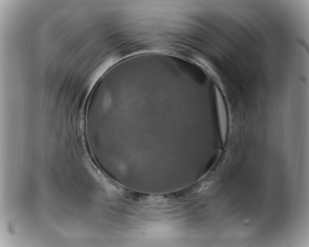 X0000100400907200806131011