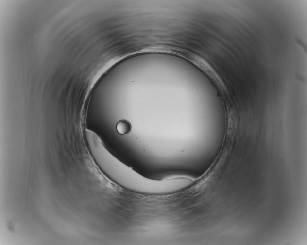X0000100400908200806131011