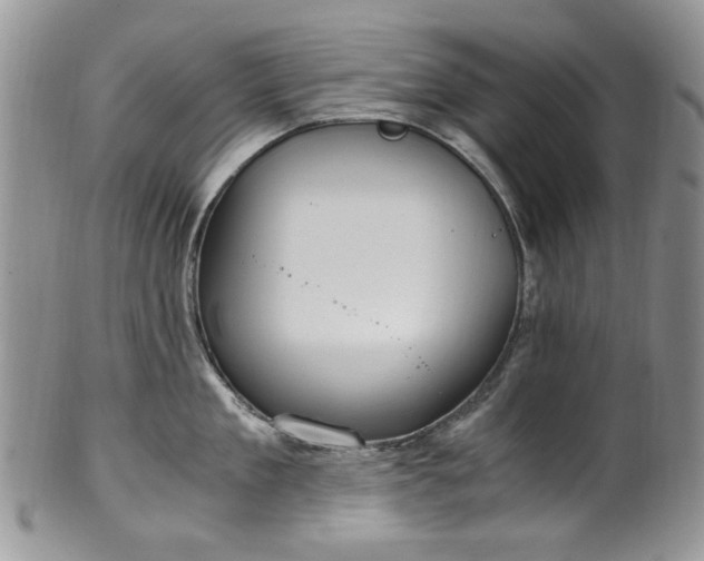 X0000100400909200806131011
