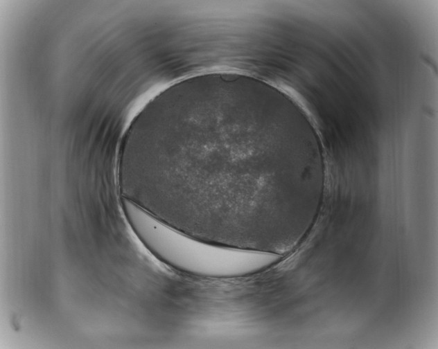 X0000100400910200806131011