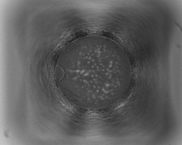 X0000100400913200806131010