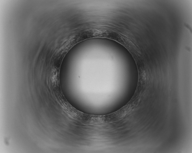 X0000100400914200806131010