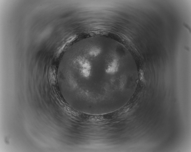 X0000100400915200806131010
