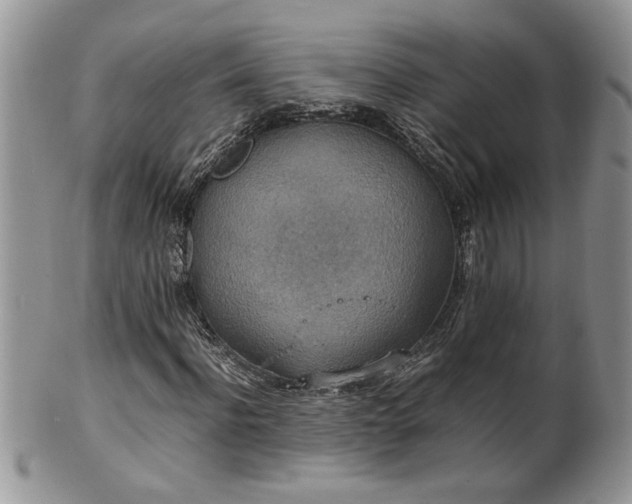 X0000100400916200806131010