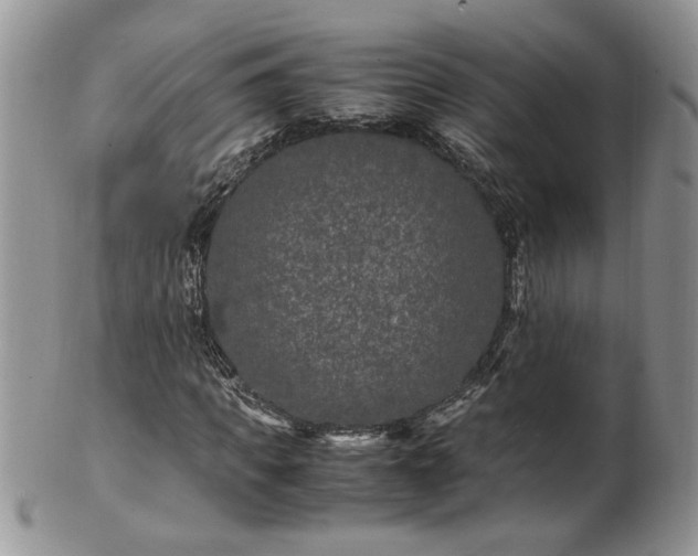 X0000100400917200806131010